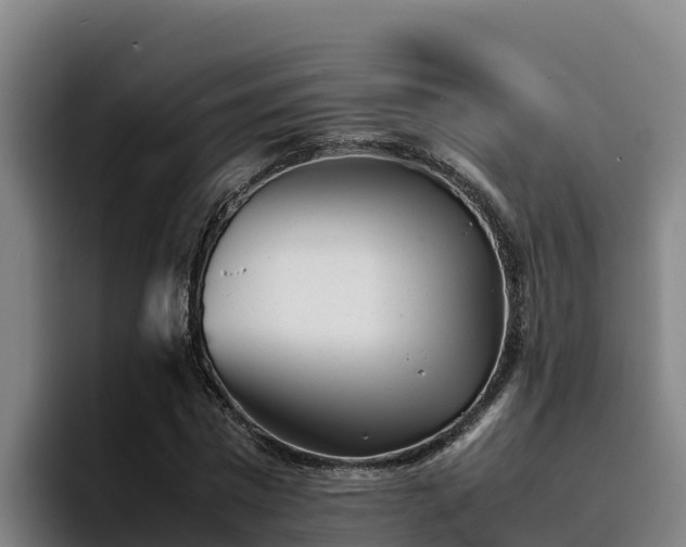 X0000094950777200712061250