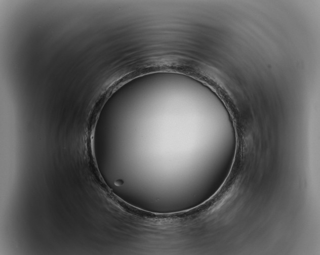 X0000094950778200712061250