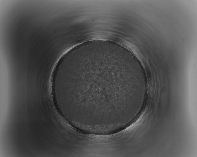 X0000094950779200712061250