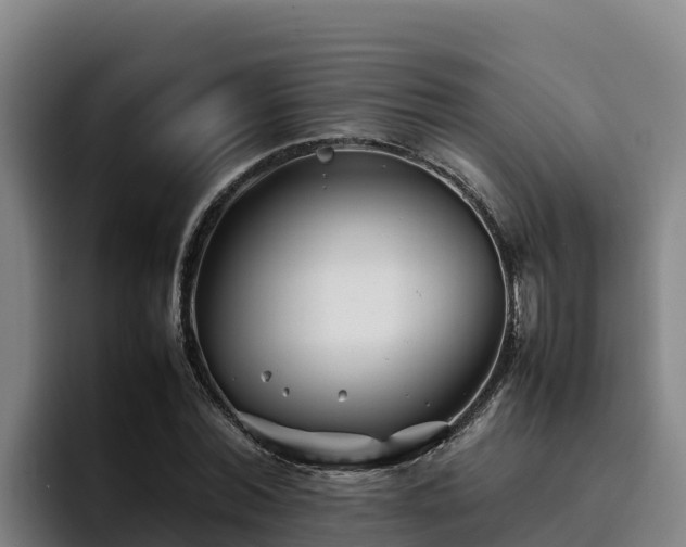 X0000094950780200712061250