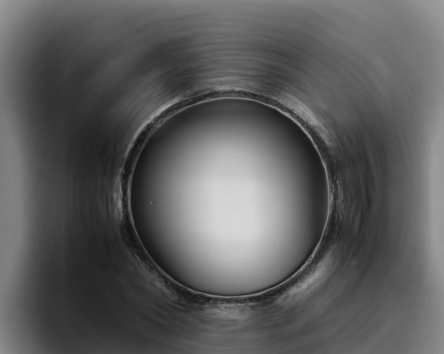 X0000094950782200712061250