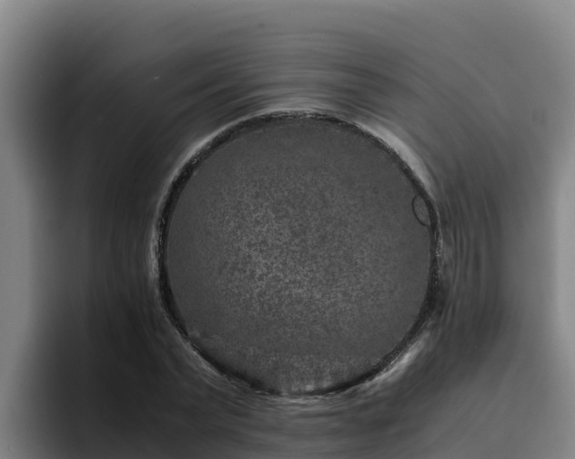 X0000094950783200712061250