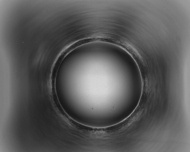 X0000094950784200712061250