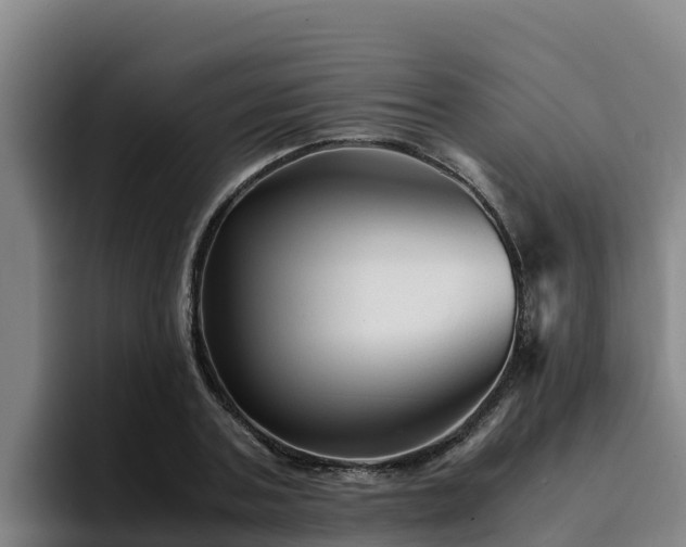 X0000094950787200712061250