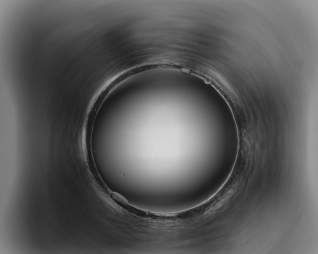 X0000094950788200712061250