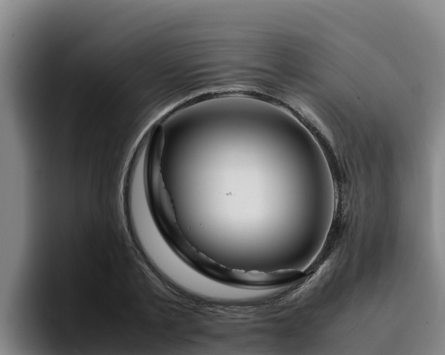 X0000094950789200712061250