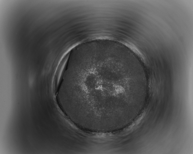 X0000094950790200712061250