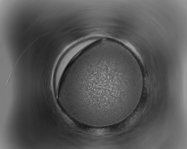 X0000094950791200712061250