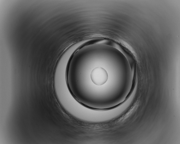 X0000094950793200712061250