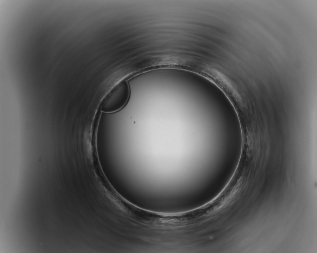 X0000094950794200712061250