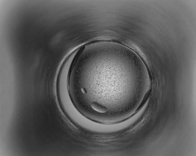 X0000094950795200712061250