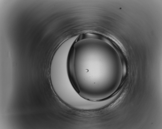 X0000094950801200712061250