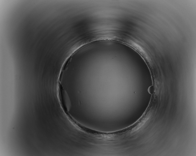 X0000094950802200712061250