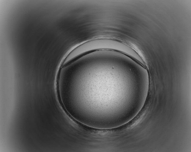 X0000094950803200712061250