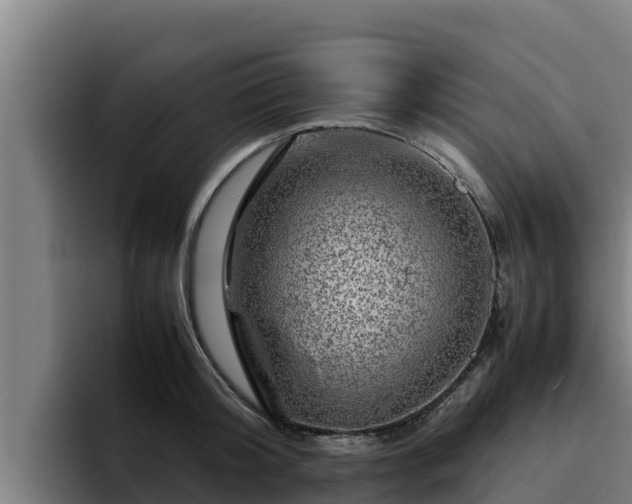 X0000094950804200712061250