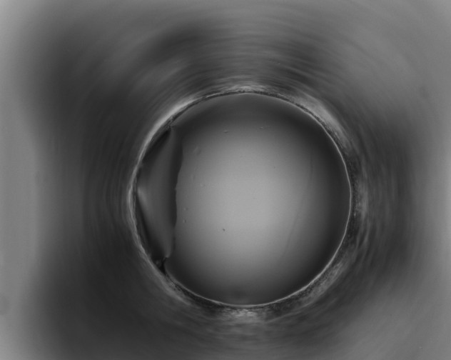 X0000094950806200712061250