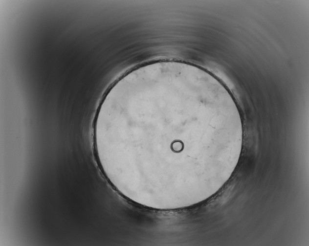 X0000094950807200712061250