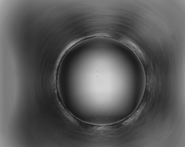 X0000094950808200712061250