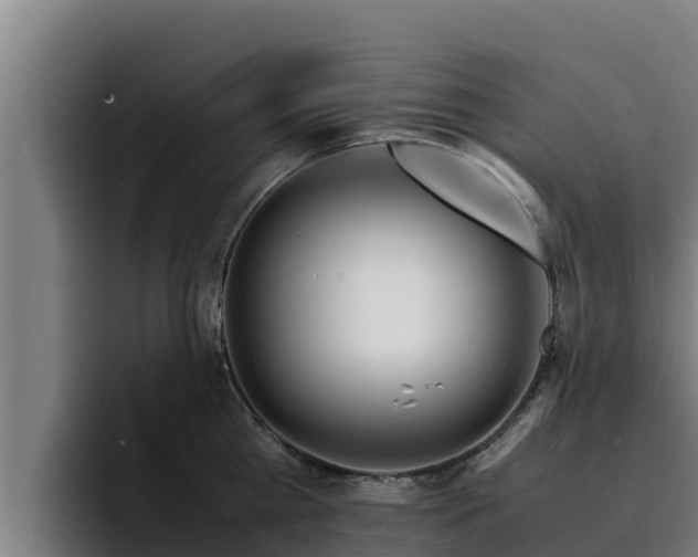 X0000094950809200712061250