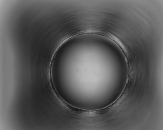 X0000094950810200712061250