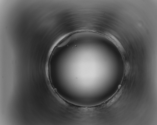 X0000094950812200712061250