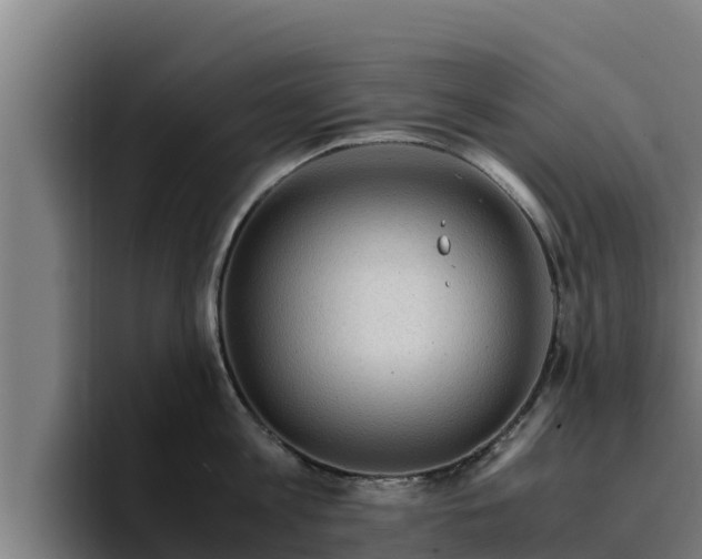 X0000094950813200712061250