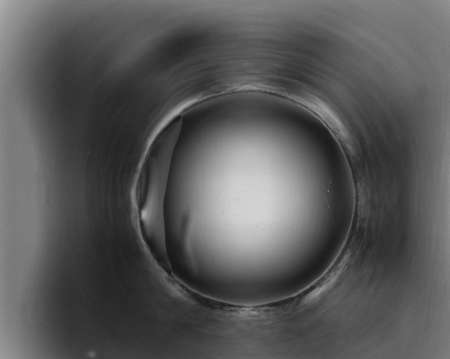 X0000094950814200712061250