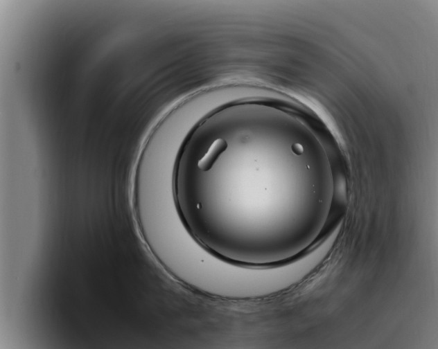 X0000094950815200712061250