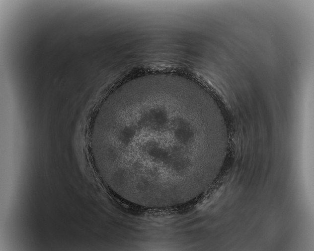 X0000094950817200712061249