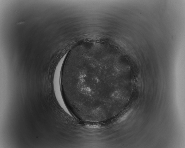 X0000094950818200712061249