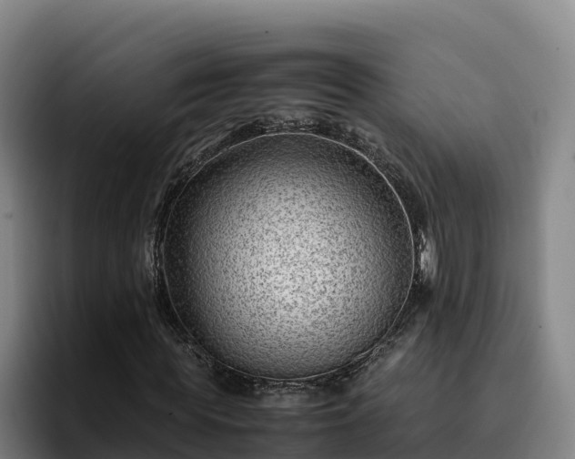 X0000094950819200712061249