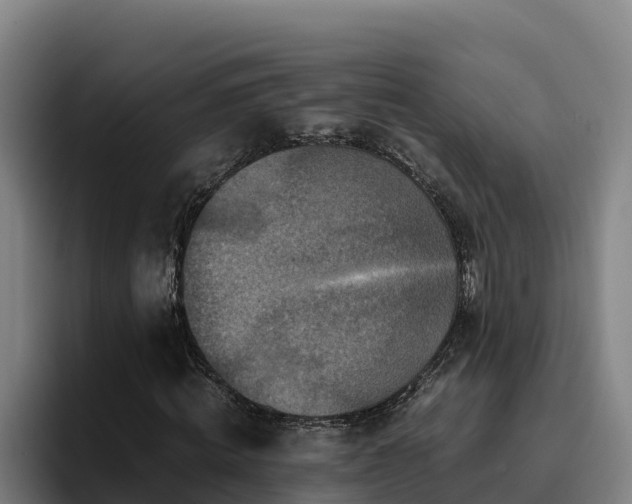 X0000094950820200712061249