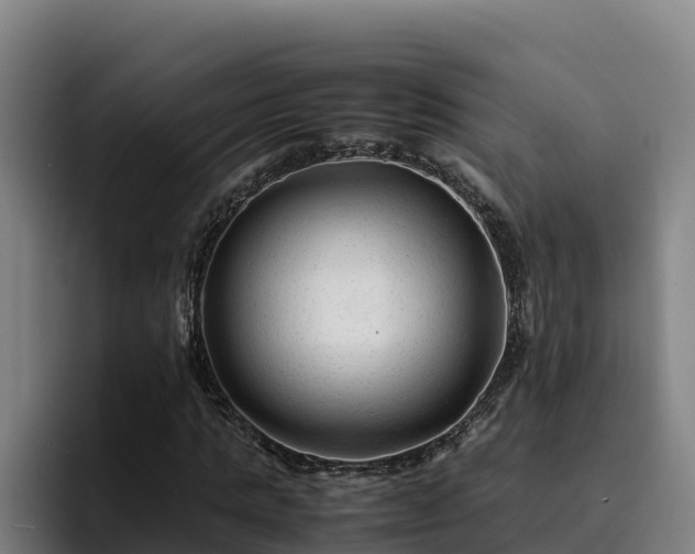 X0000094950821200712061249