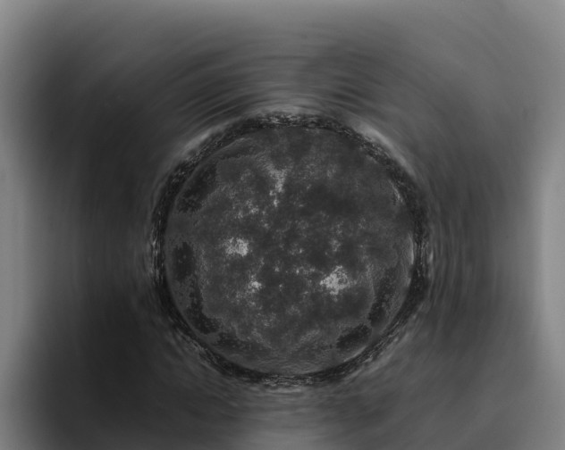 X0000094950822200712061249