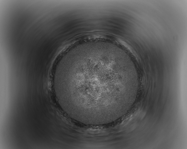 X0000094950823200712061249