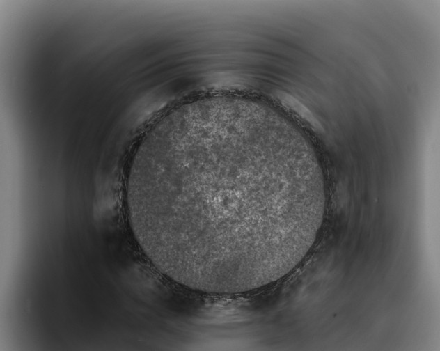 X0000094950824200712061249