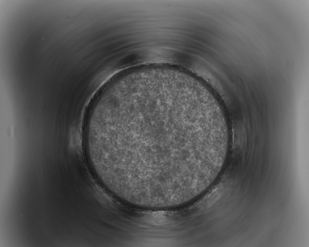 X0000094950828200712061249