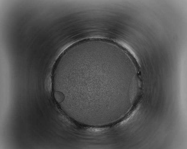 X0000094950829200712061249