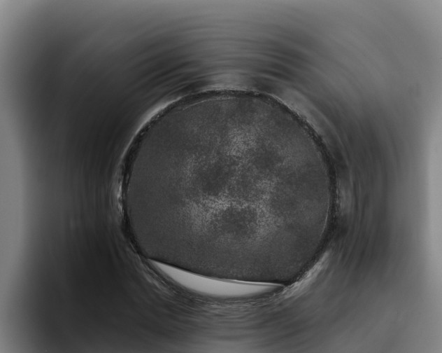 X0000094950830200712061249