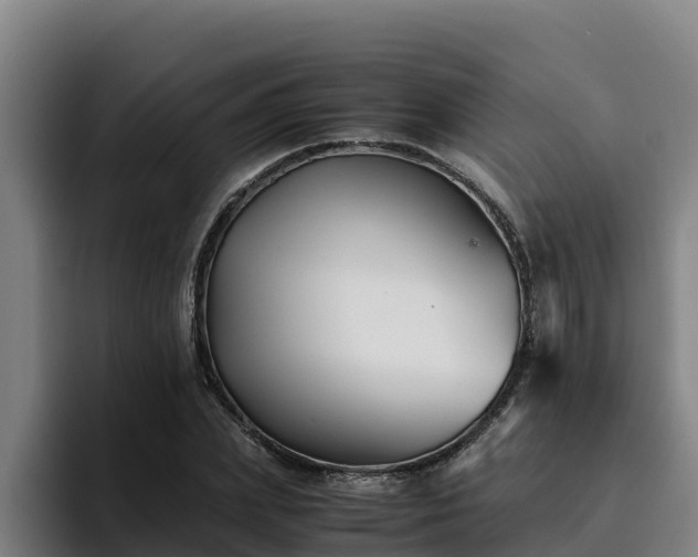 X0000094950831200712061249