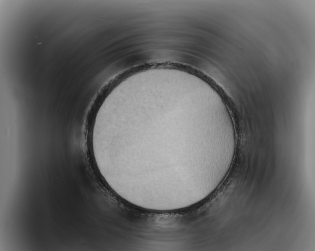 X0000094950832200712061249