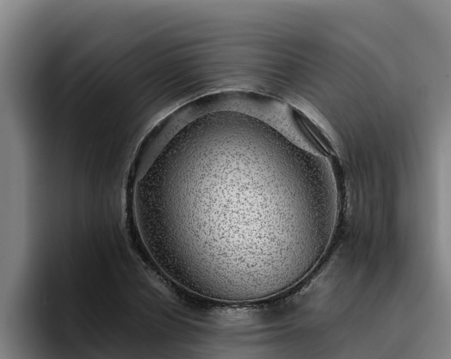 X0000094950834200712061249