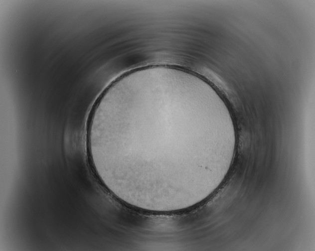 X0000094950836200712061249