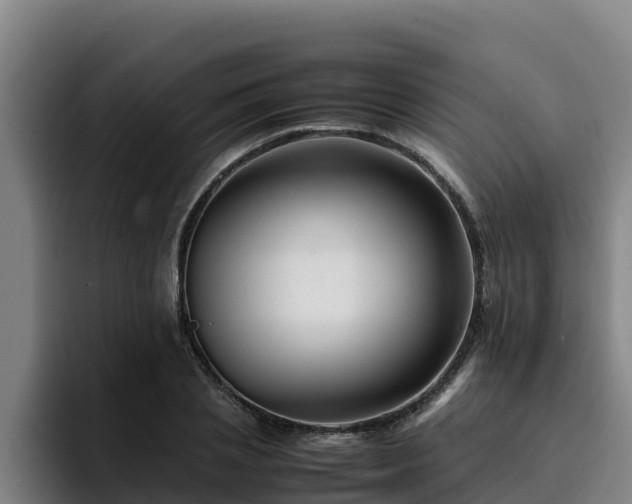 X0000094950837200712061249