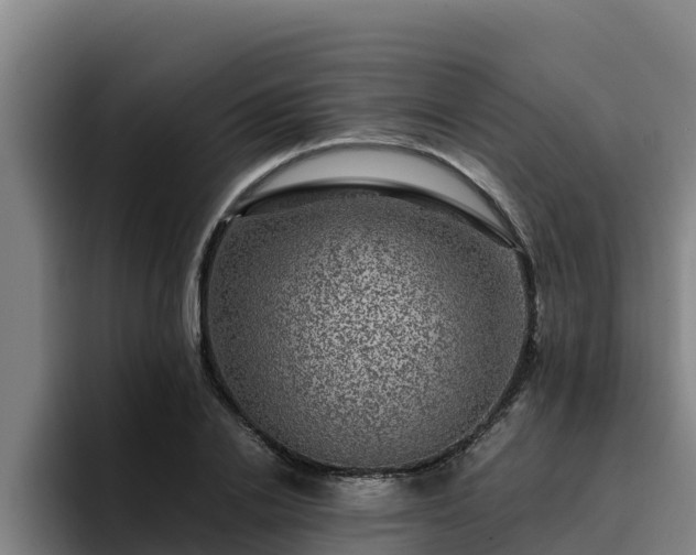 X0000094950838200712061249