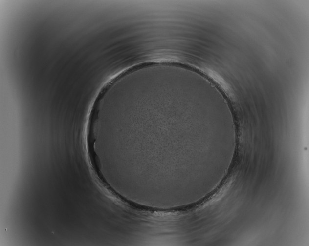 X0000094950840200712061249