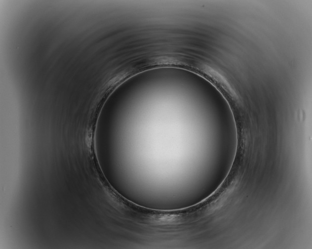 X0000094950841200712061250