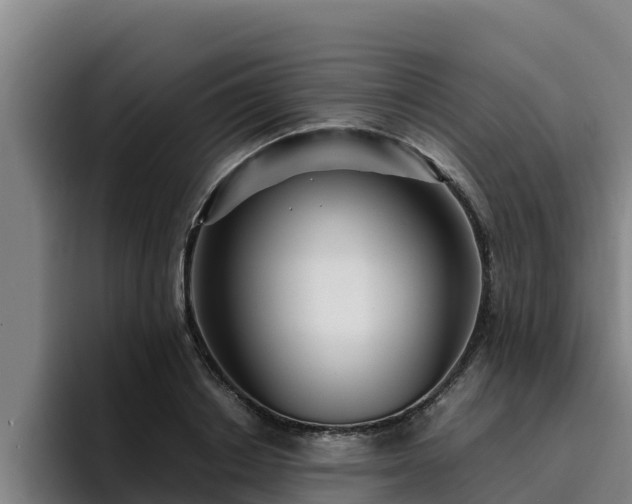 X0000094950842200712061250