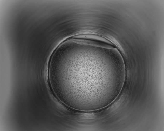 X0000094950844200712061250