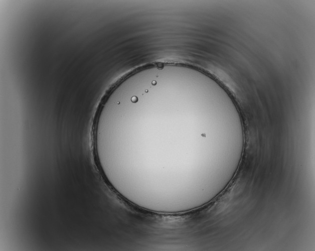 X0000094950848200712061250